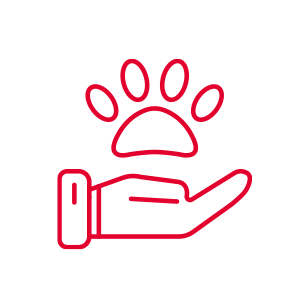 Tierkrankenversicherung